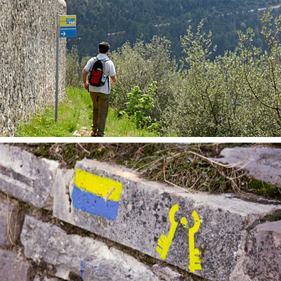 Segnali che indicano il percorso della Via di Francesco: giallo-blu e Tau giallo