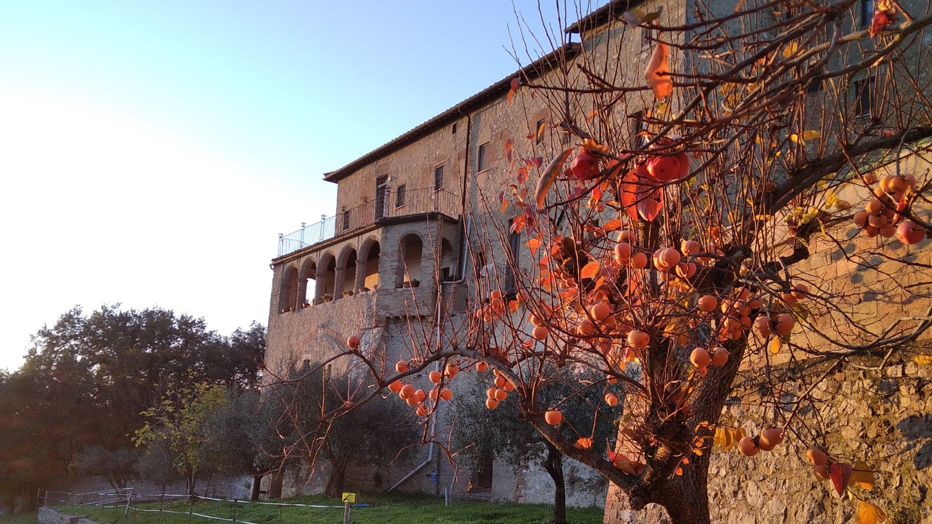 Il Convento della SS. Annunziata ad Amelia