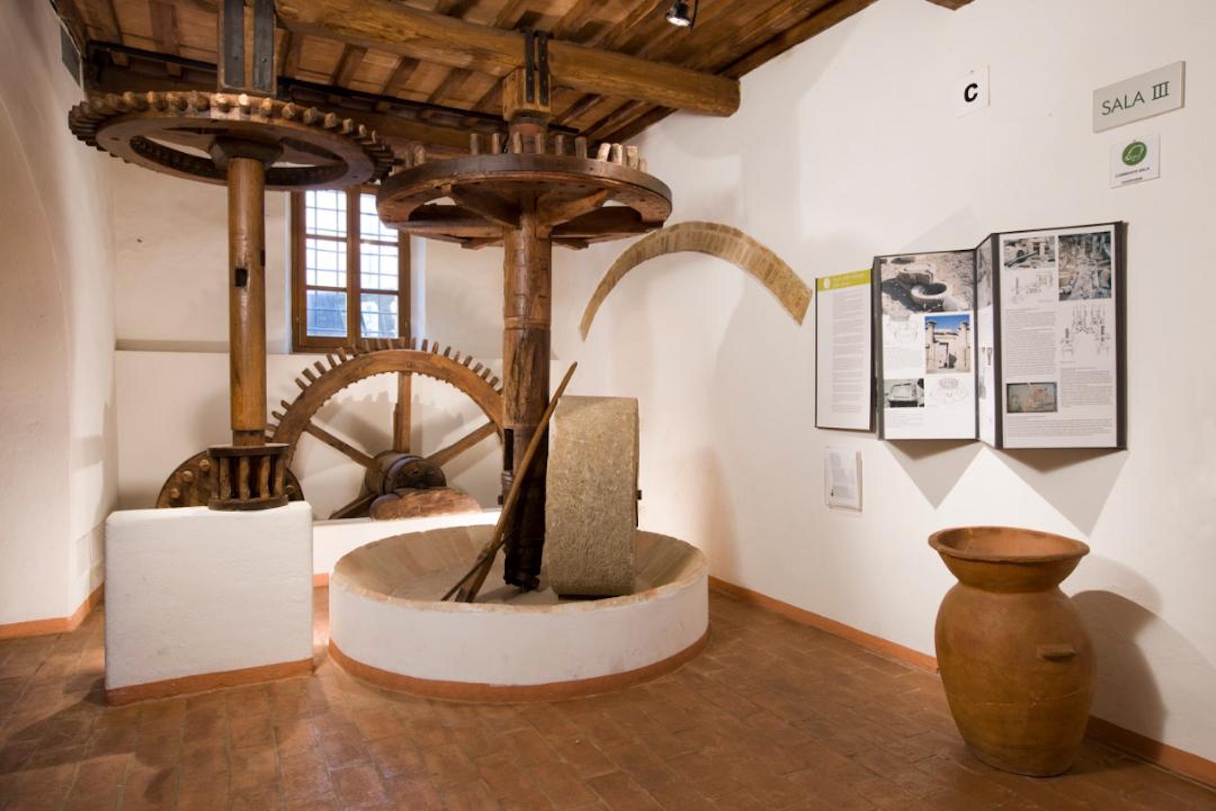 Olive Tree and Olive Oil Museum
