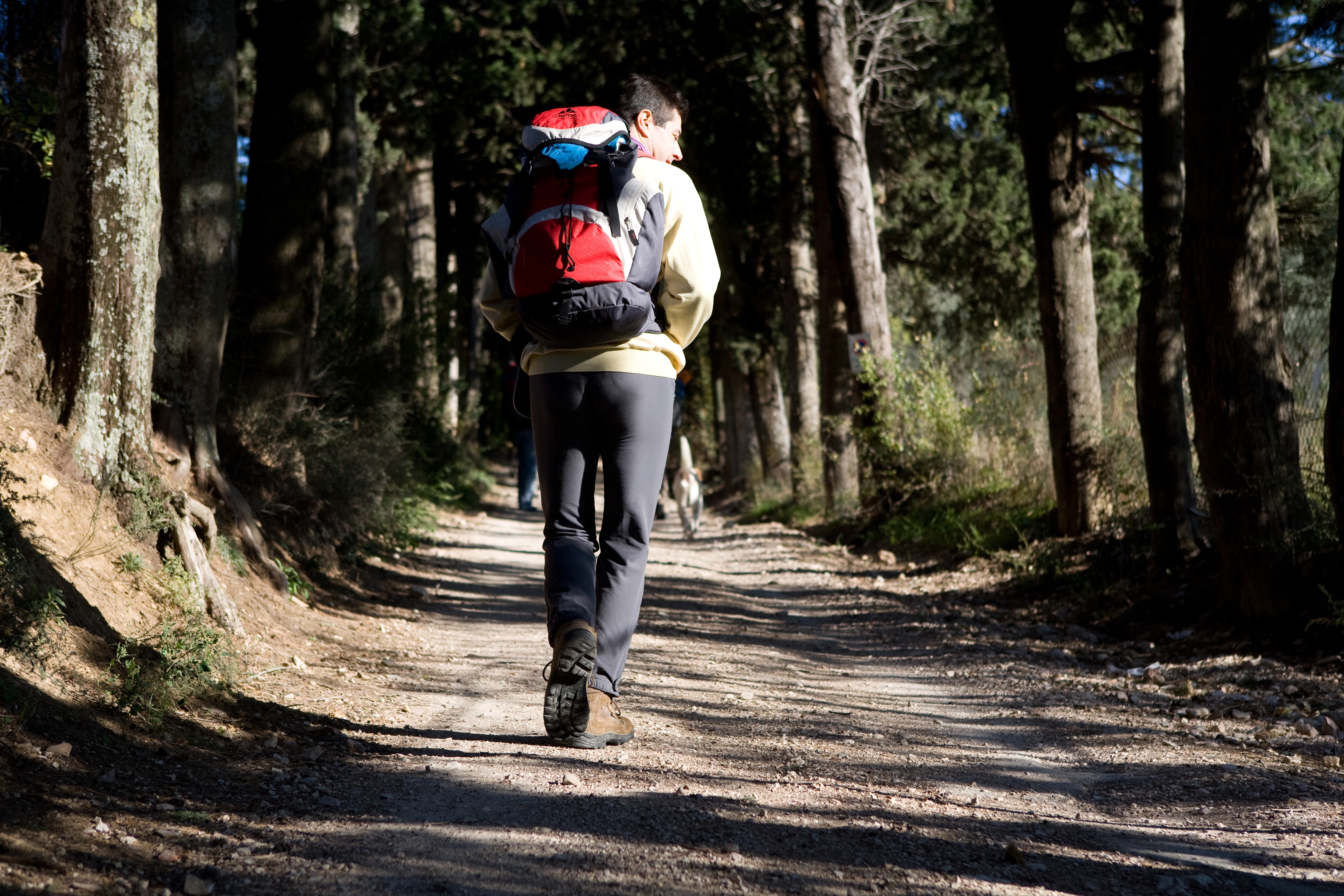 La via di Francesco offers