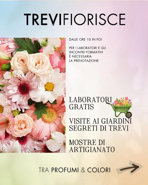 Poster of Trevi Fiorisce in Trevi