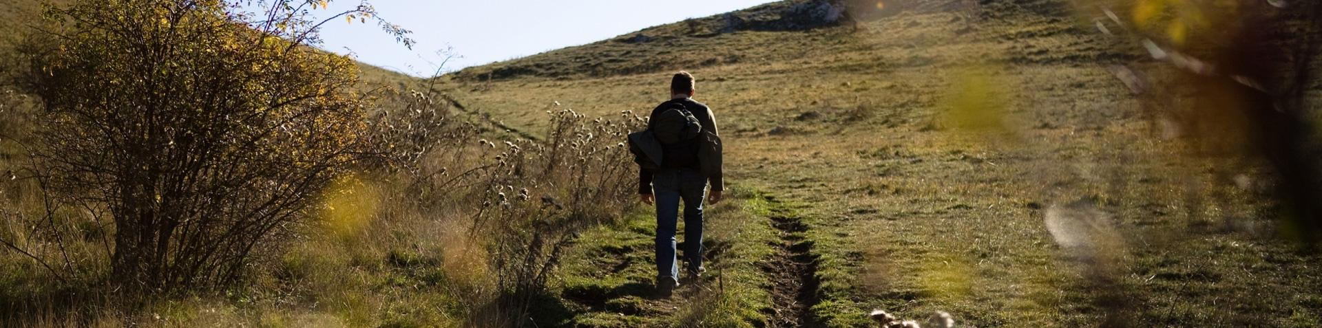 Titolo: Spirituality