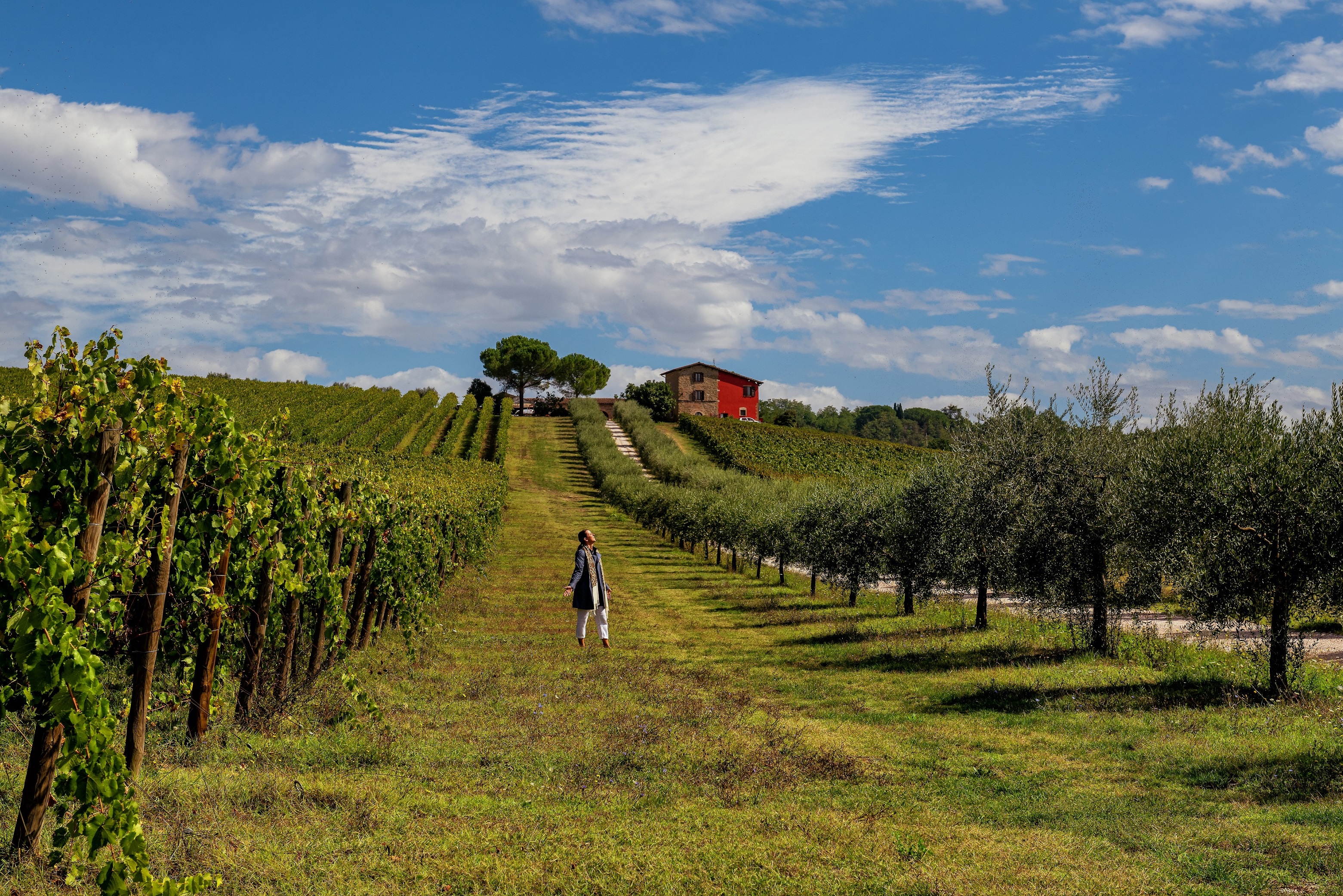 WINE AND OIL CULTURE