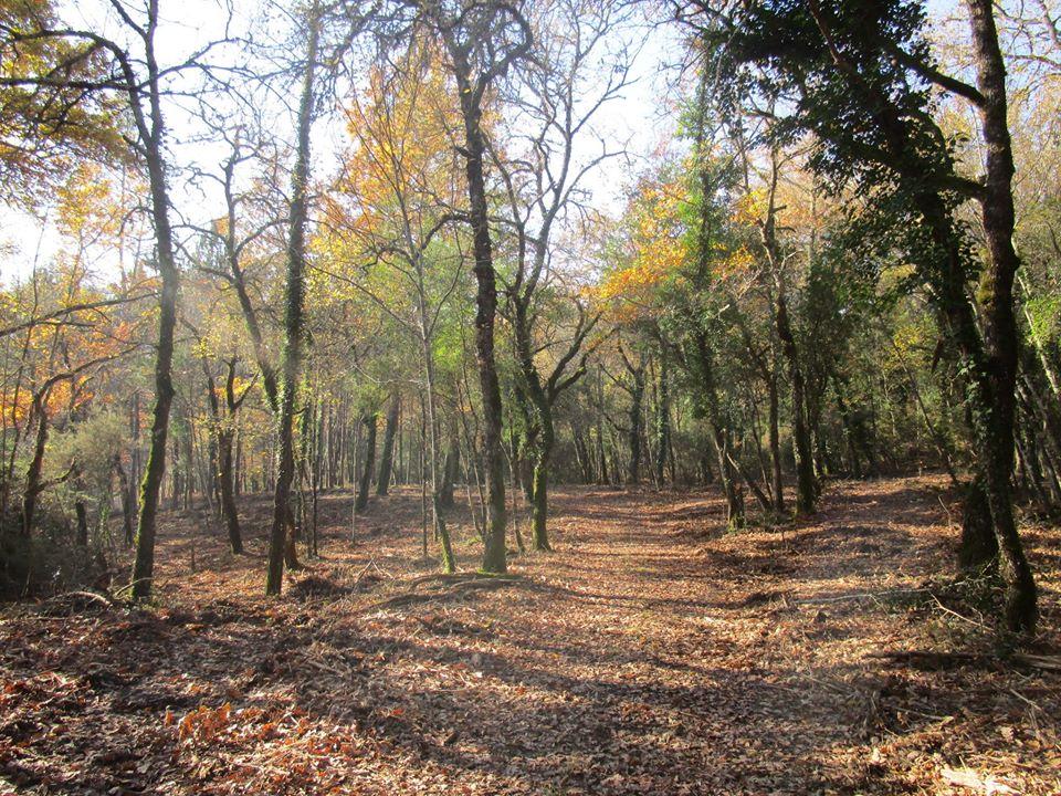 The UNESCO World Biosphere Reserve of Peglia Mount