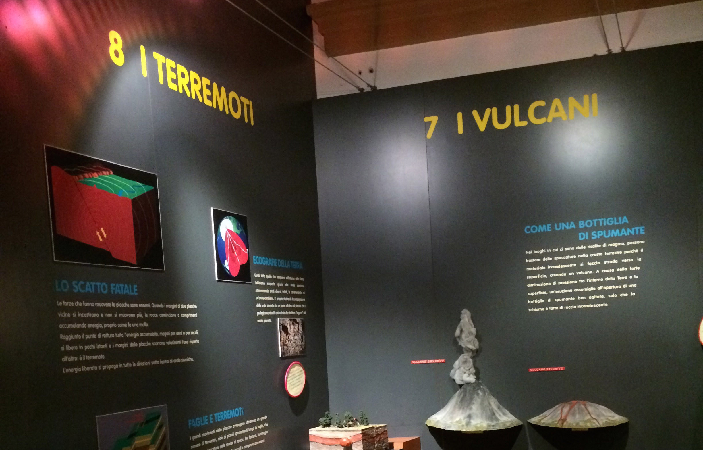 GEOLAB - Museum laboratory of Earth sciences