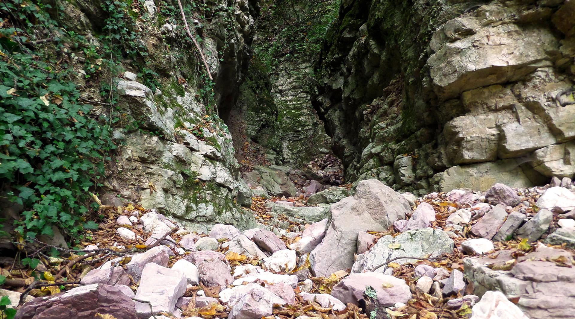Gole del Forello