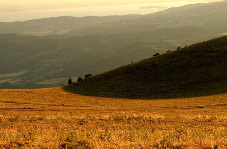 Le parc naturel du Mont Tezio
