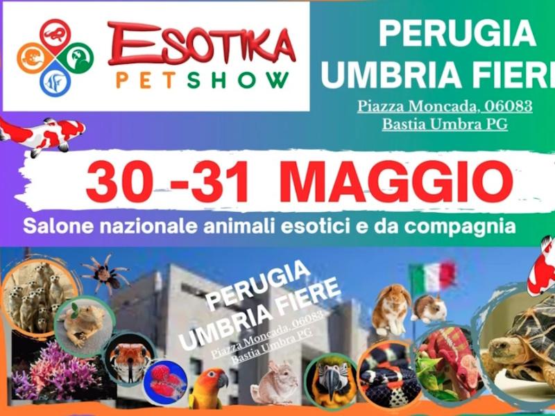Esotika Pet Show
