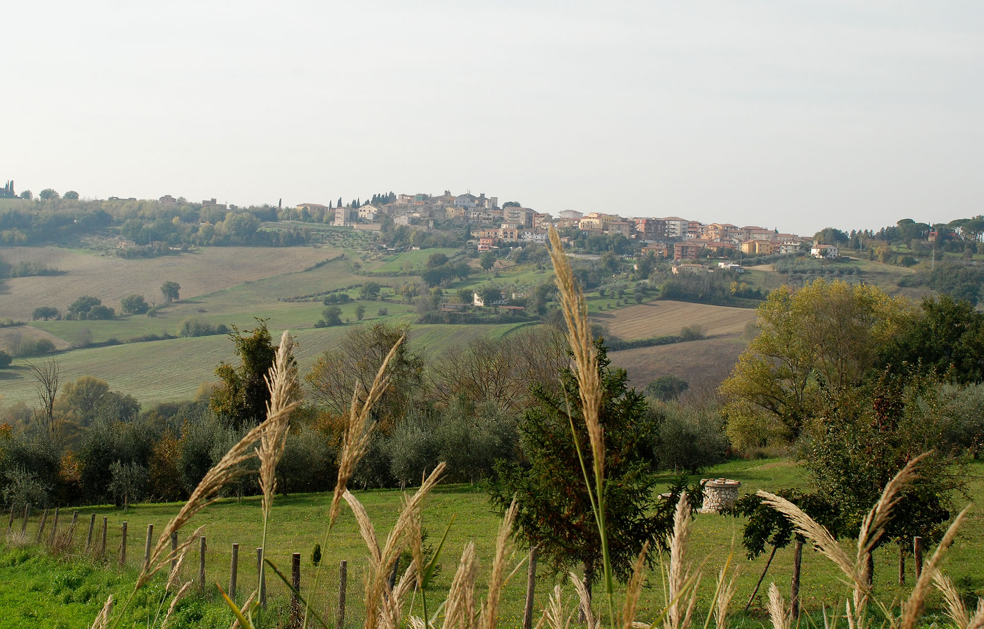 Hilly landscape with the village of Otricoli on the horizon, among cultivated fields, olive groves and wild vegetation.
