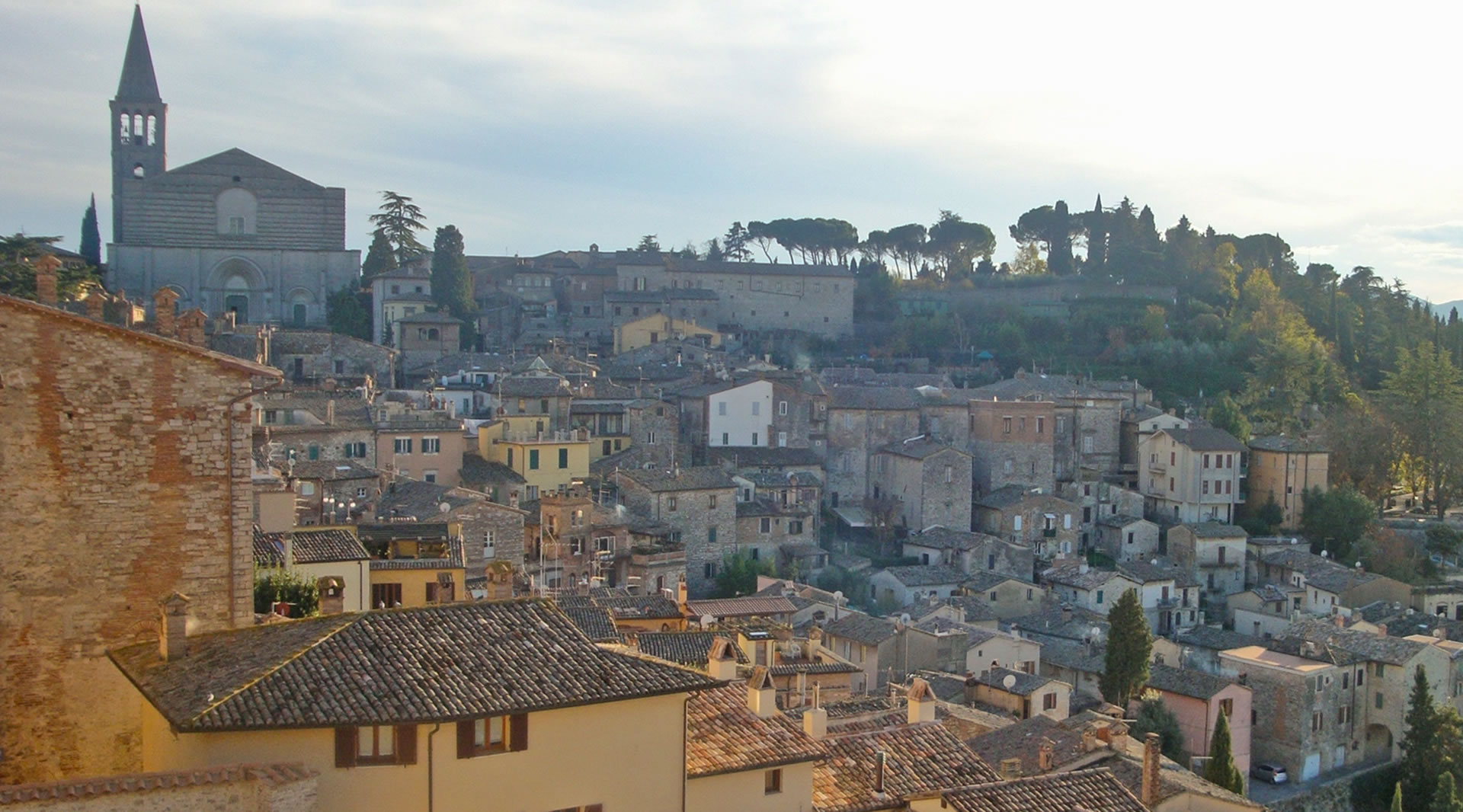 Todi