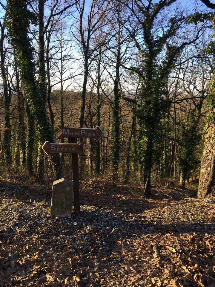 The UNESCO World Biosphere Reserve of Peglia Mount