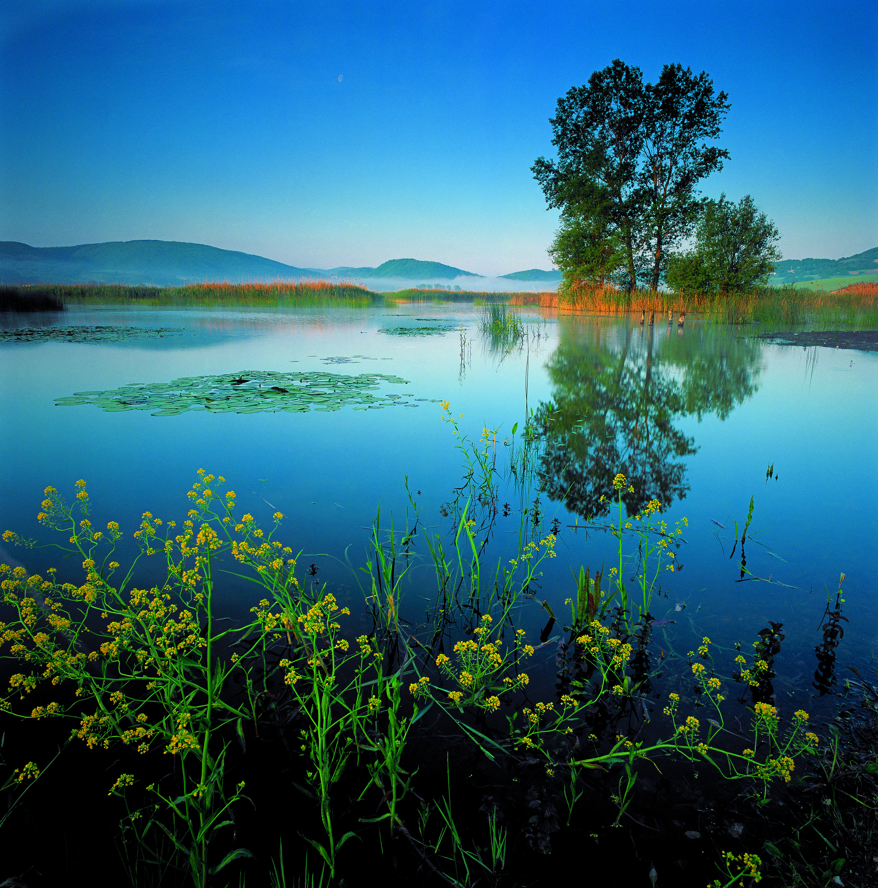 Itineraries in Colfiorito Natural Park