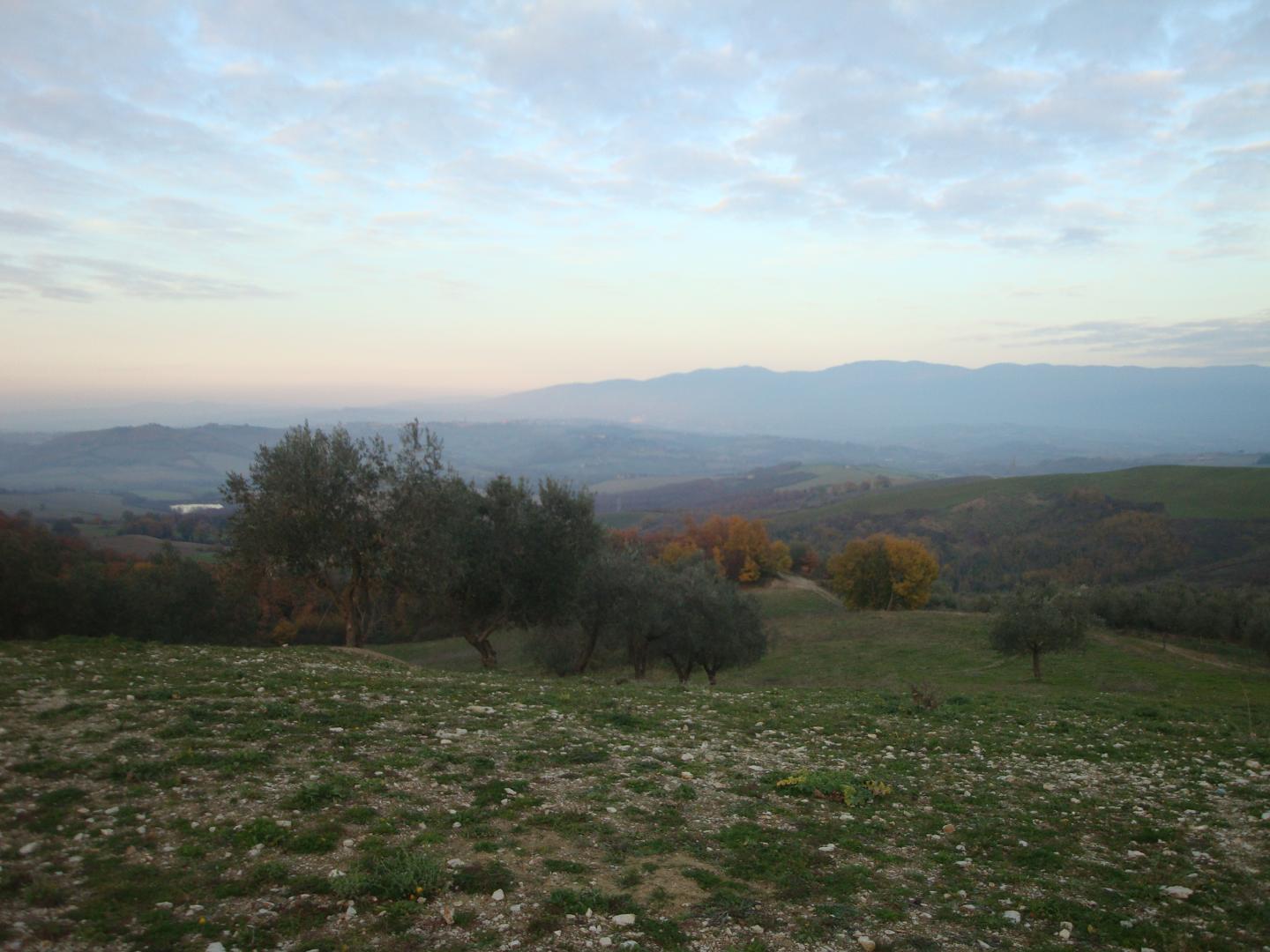 Monti Martani