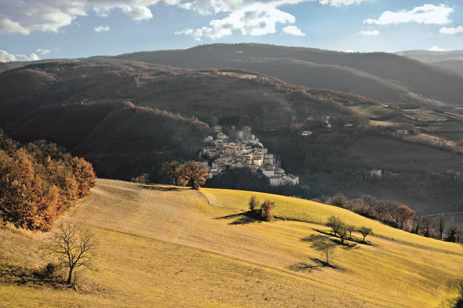 Preci und die alte Schule der Chirurgie