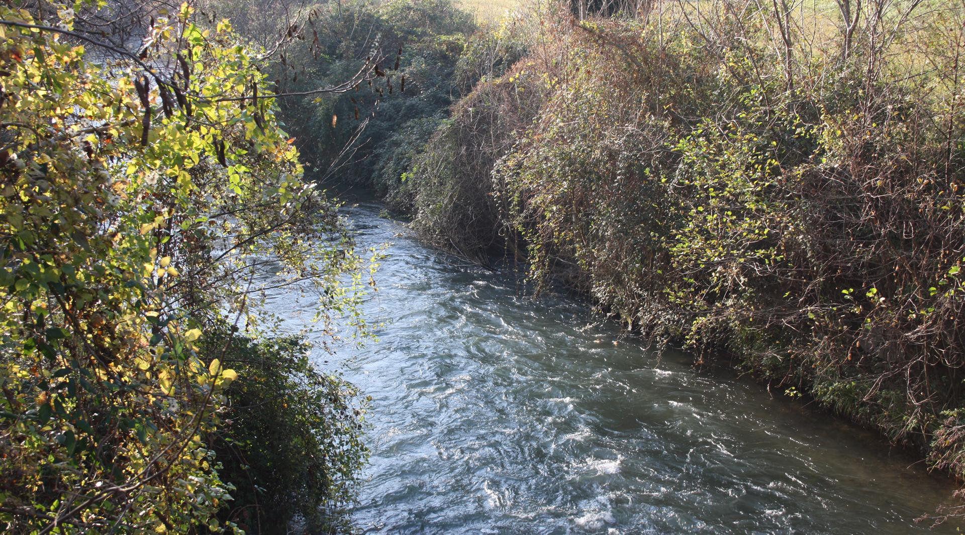 The Nera River flowing through lush vegetation and wooded banks in the Nera River Park.