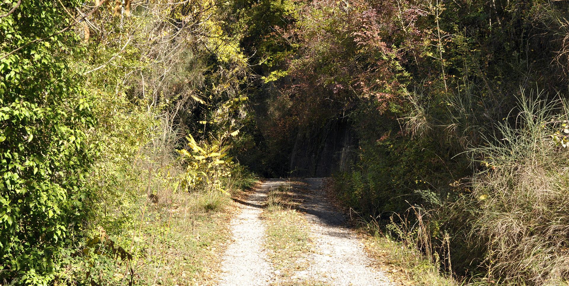 Valfabbrica, between art, culture and trekking