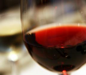 Vini Doc Colli del Trasimeno