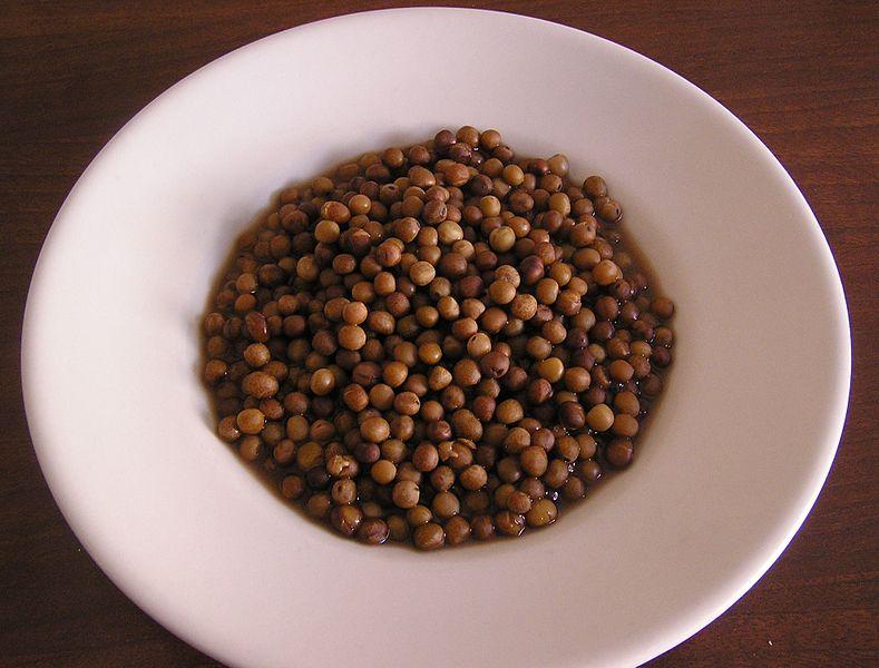 Weißer Teller mit gekochter Roveja, kleine runde Hülsenfrüchte in brauner Farbe.