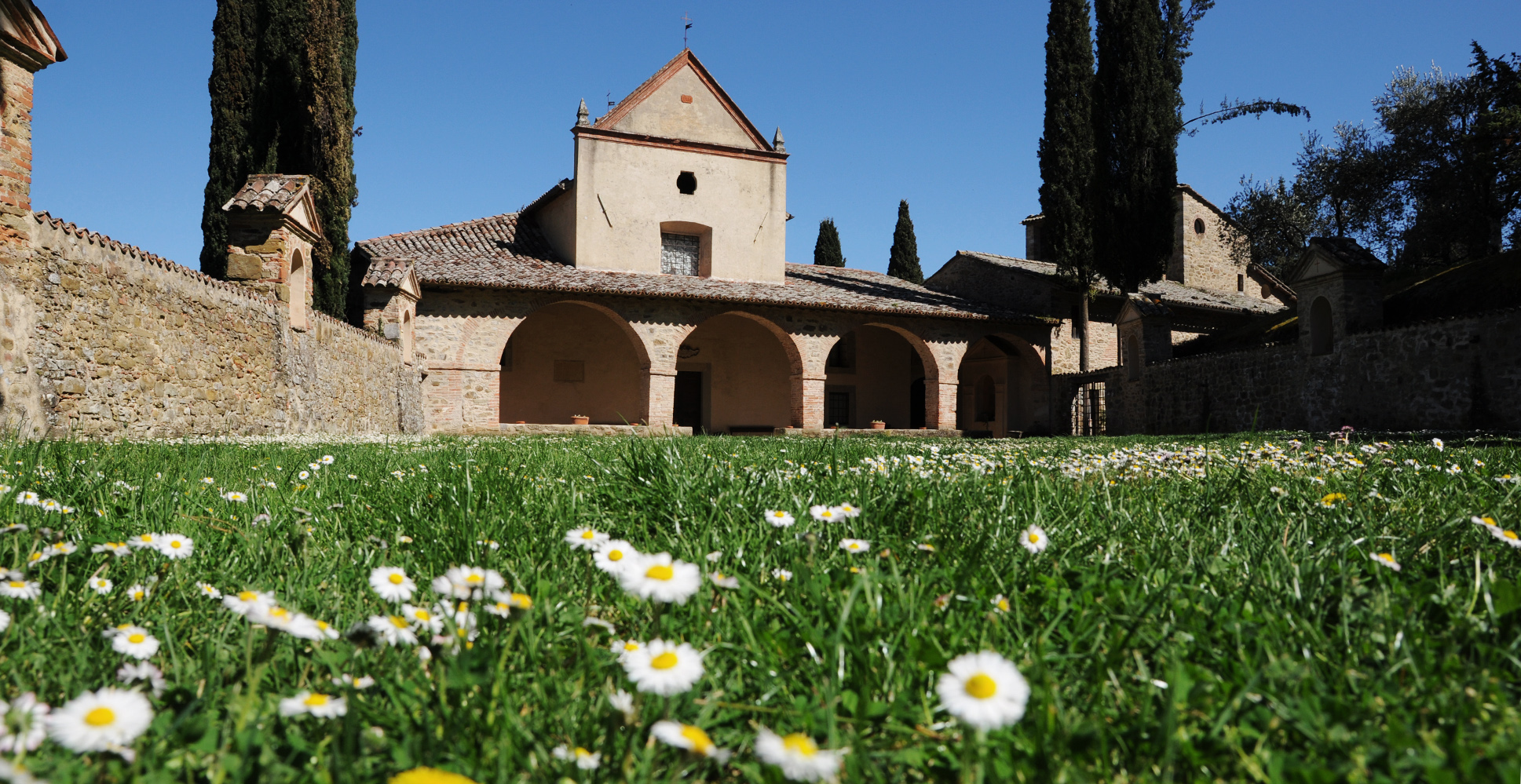 Die Straße des Olivenöls Dop Umbria Colli Orvietani