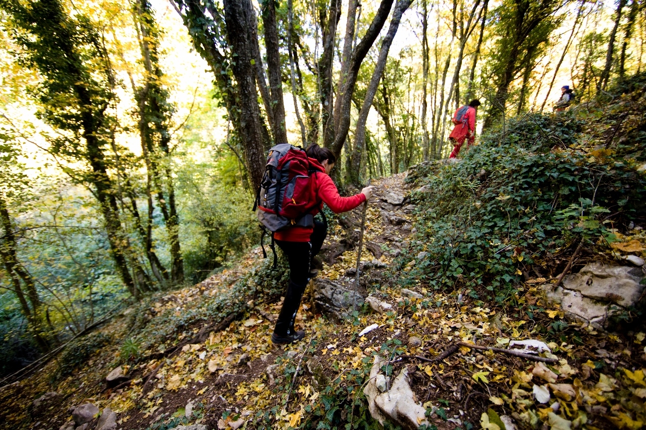 the Convent of Saint Francis, Stroncone
