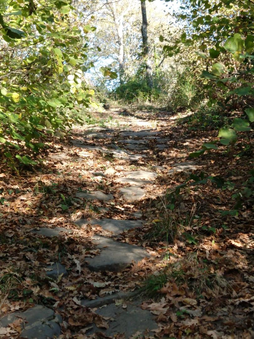 Die Nekropole von Lauscello