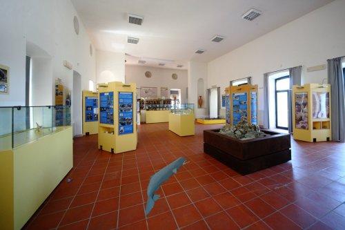 Musei in Umbria a misura di bambino