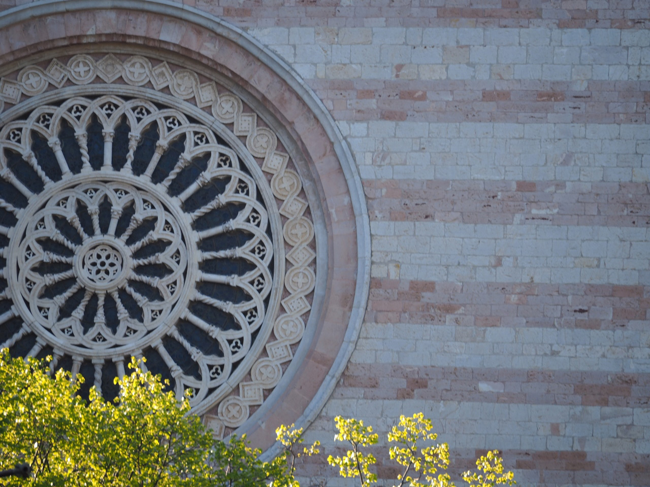 Titolo: Itinerary of Female Holiness