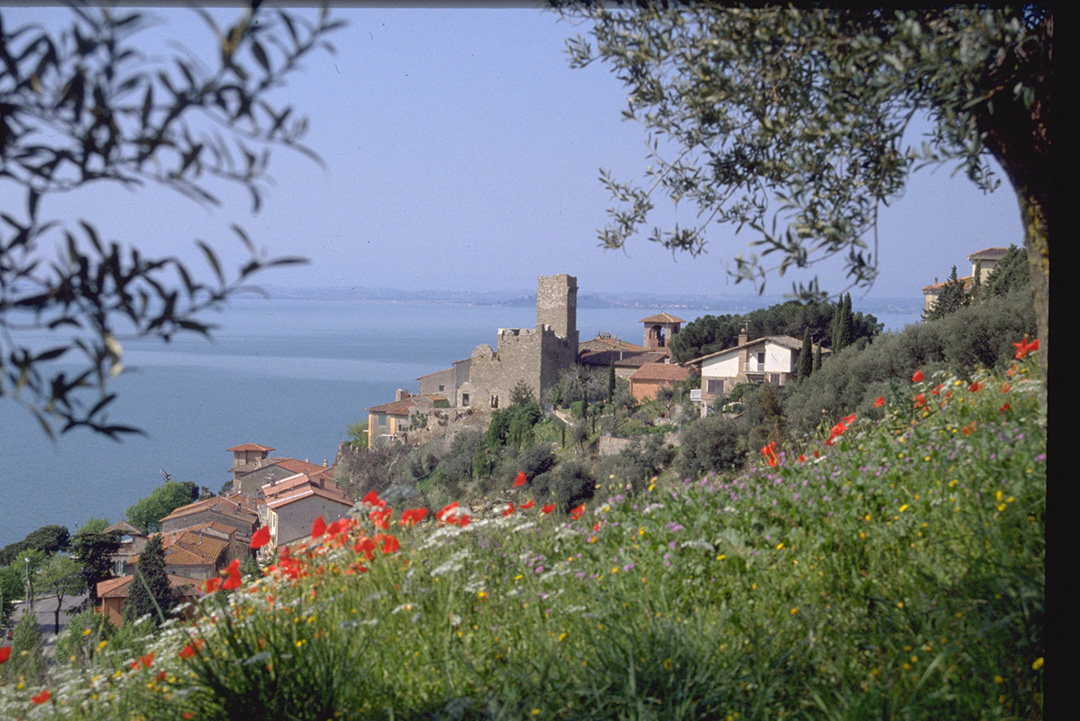 Titolo: From Passignano to Castiglione along the Colli del Trasimeno Wine Route