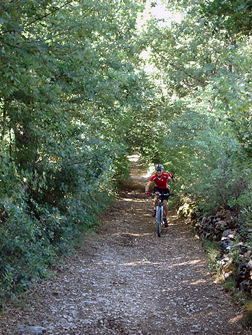 Cascia: through fields and woods in the hills of Santa Rita