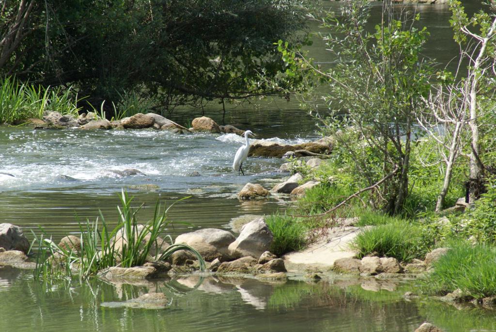 Sentiero del Furioso 2021