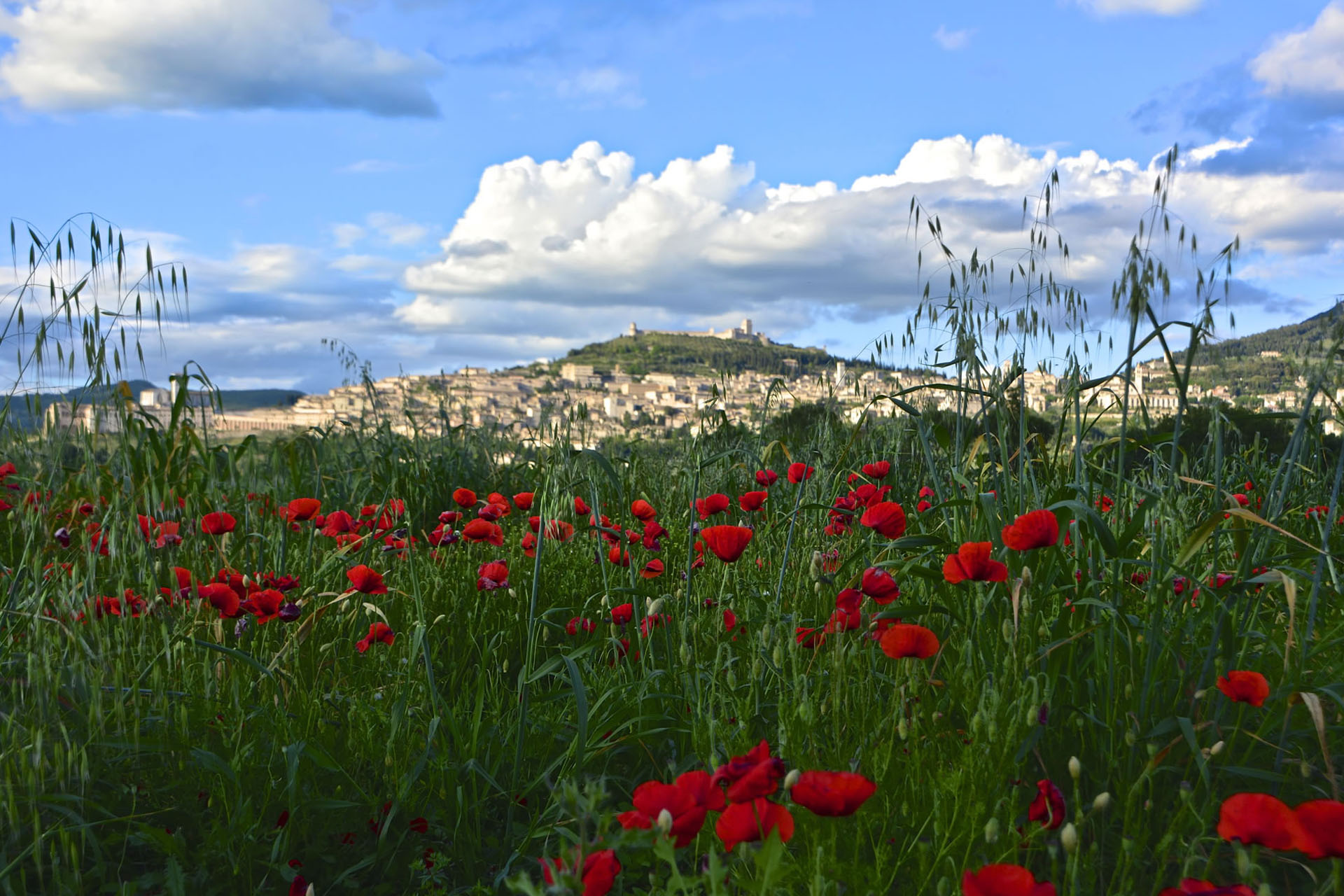 Titolo: A journey through faith: walk the Cammino della Luce – The Path of Light