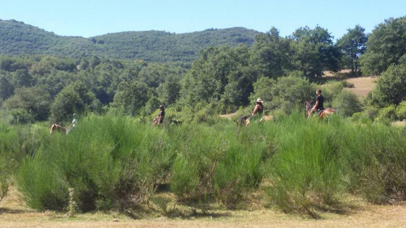 Titolo: The Route of St. Francis, from the Stroncone Meadows to Greccio