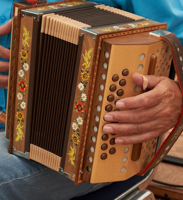 Image d’un accordéoniste avec les doigts posés sur les touches latérales de l’instrument