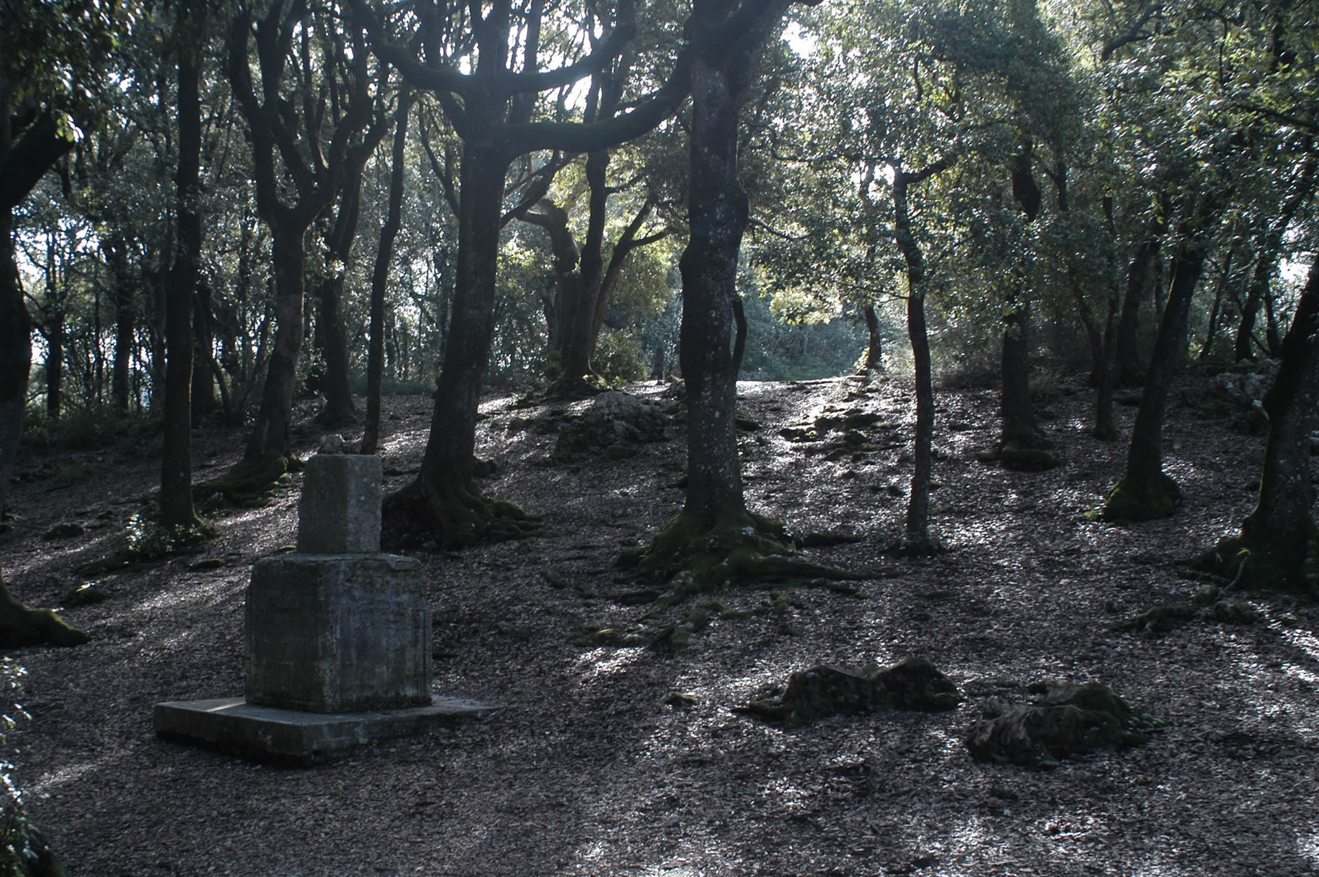 Randonnée de Spoleto à Monteluco