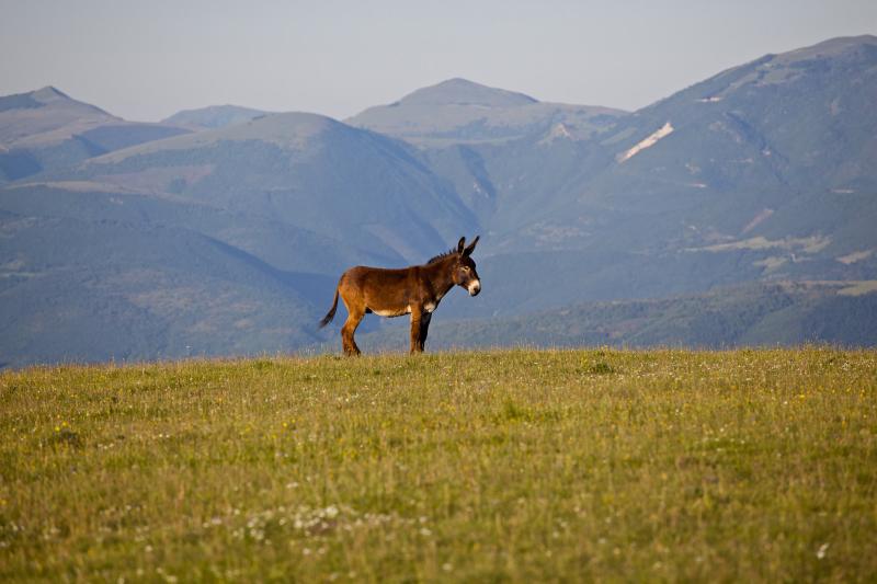 Parco del Monte Subasio