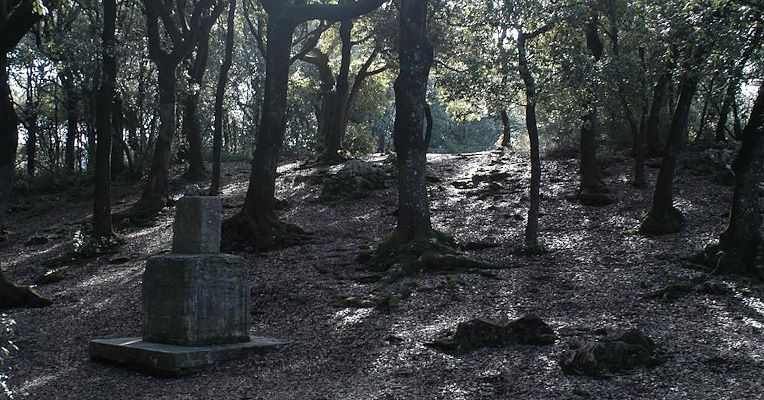Trekking da Spoleto a Monteluco