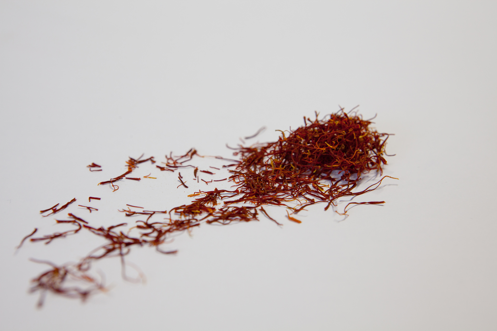 Lo zafferano in Umbria