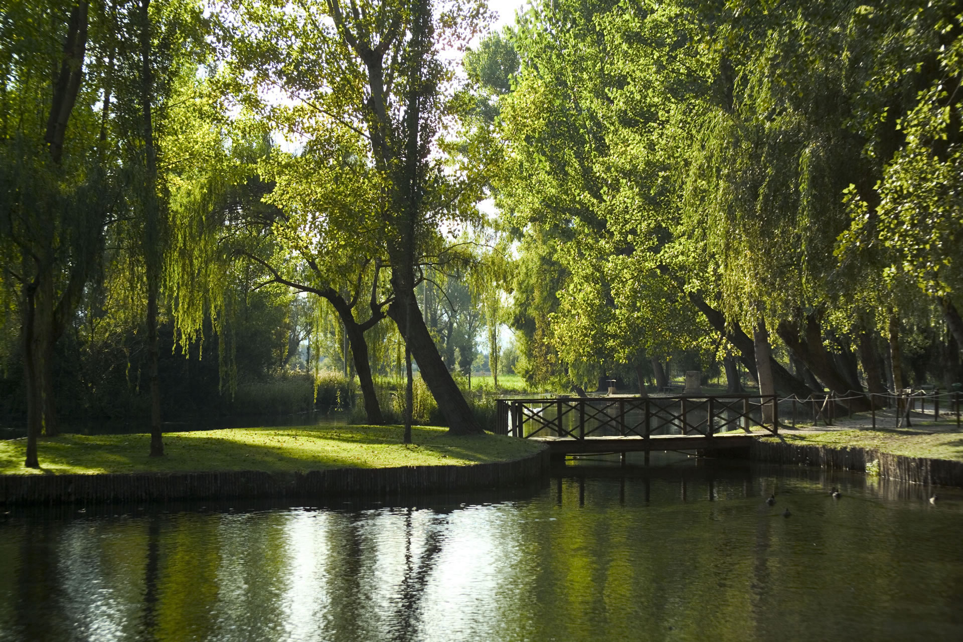 The Poets' Springs: from Poreta to Trevi