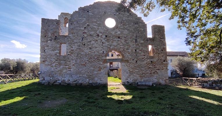 Felsen der Insel Polvese
