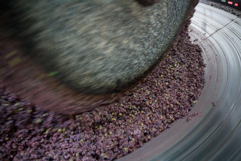 Umbria Orvietani Hills PDO olive oil trail