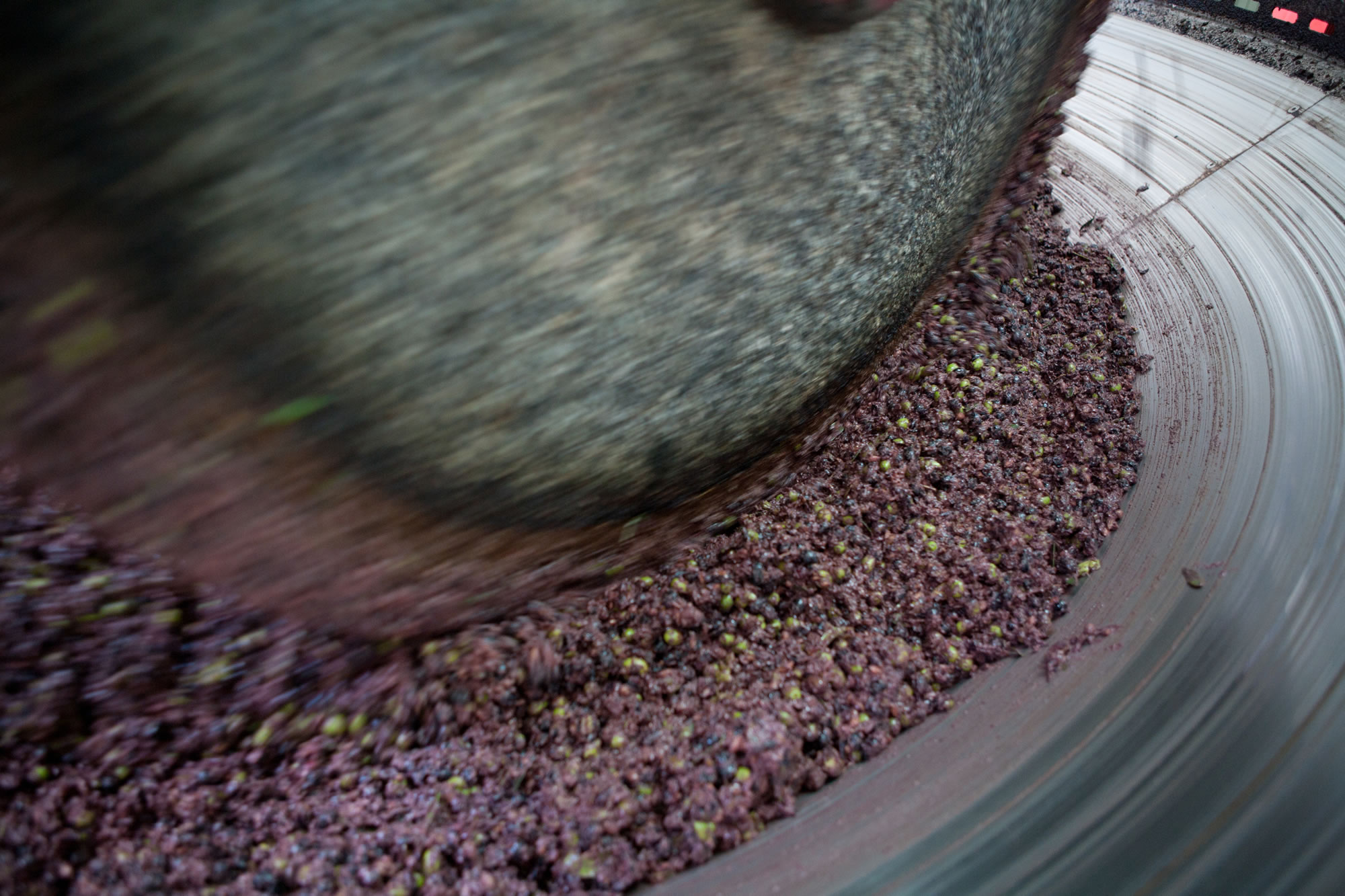 Da Montecchio a Montegabbione lungo la Strada Olio Dop Umbria