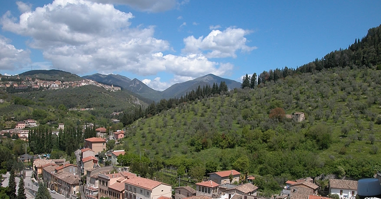 Climb to the mountain above Arrone through olive groves
