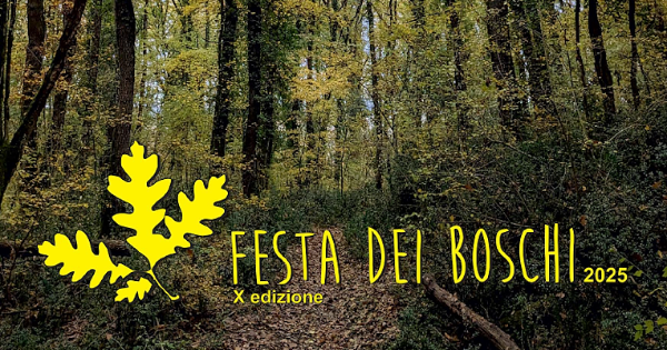 Poster for Festa dei Boschi