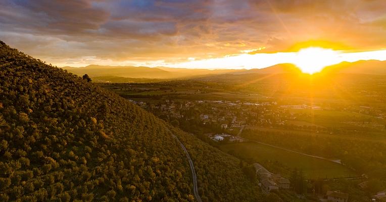 Panoramic sunset view of a hillside covered with olive trees overlooking the valley, as the sun sets behind the mountains