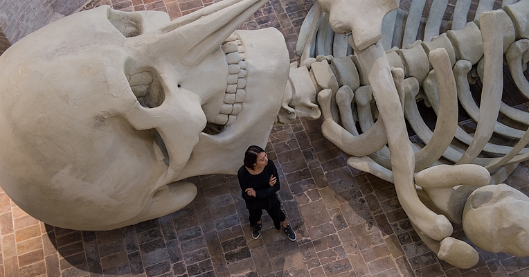 Giant skeleton installed in a deconsecrated church, surrounded by soft lighting and brick architecture