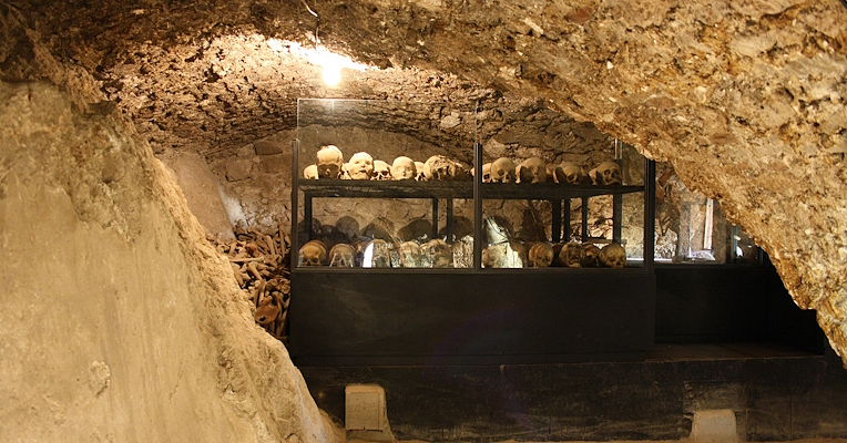Cripta sotterranea con teschi e ossa umane esposti in teche di vetro, illuminata da una singola lampadina.