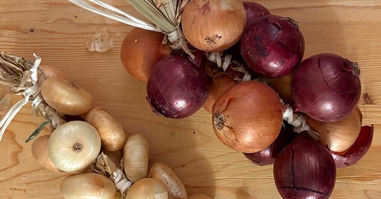 Titolo: The Cannara Onion