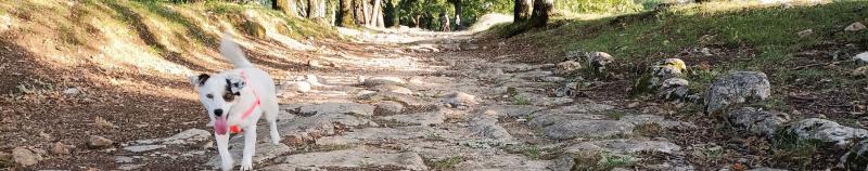 Tappa 5 del Cammino dei Protomartiri Francescani Umbria Italia. Sito archeologico di Carsulae