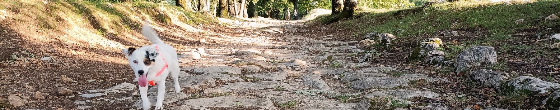Etappe 5 von San Gemini nach Cesi auf dem Weg der Protomärtyrer. Archäologische Stätte von Carsulae, Umbrien, Italien.