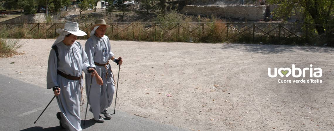 bosco di san francesco pilgrimage st francis way